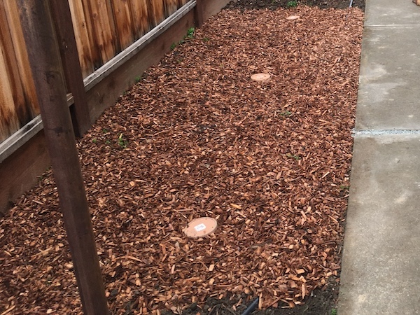 greywater distribution basins covered with mulch