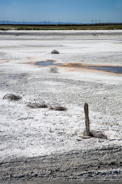 agricultural land turned to salt