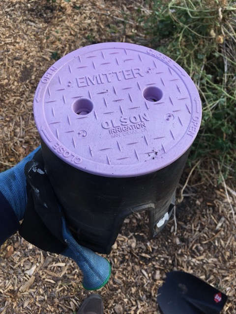 a standard valve box cover with a purple lid indicating reclaimed water